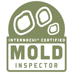 Mold Inspector